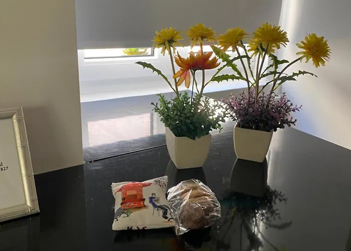 面粉胡同公寓 Lisboa