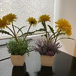 Apartment Beco Farinhas *