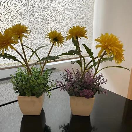 Apartament Beco Farinhas *